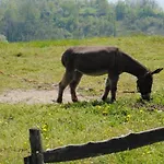 컨트리하우스 Agriturismo Montegualdone 사레짜노
