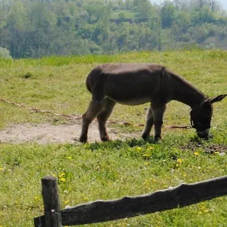 Εξοχικό σπίτι Agriturismo Montegualdone Sarezzano