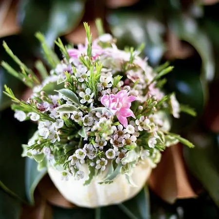 Agriturismo Montegualdone Εξοχικό σπίτι Sarezzano