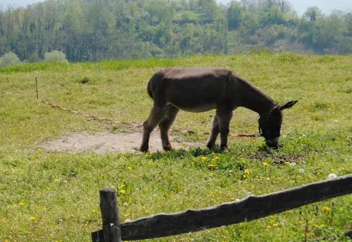 Hétvégi ház Agriturismo Montegualdone Sarezzano